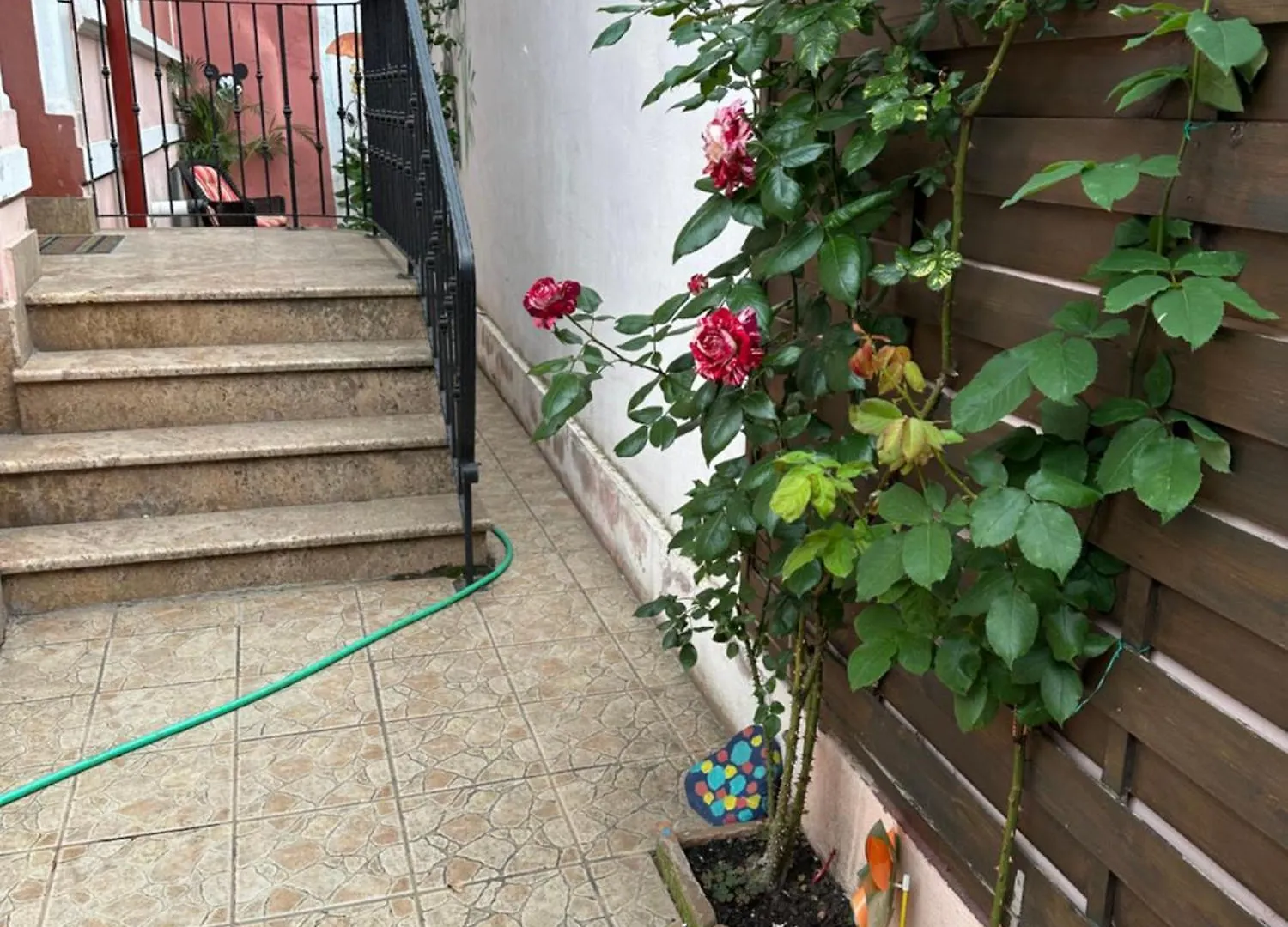 Villa Anma Bucharest