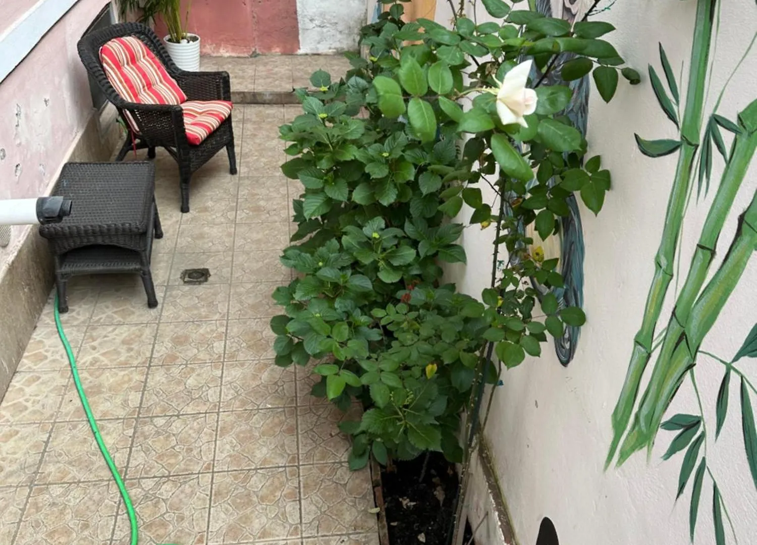 Villa Anma Bucharest